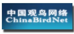 ChinaBirdNet 中国观鸟网络